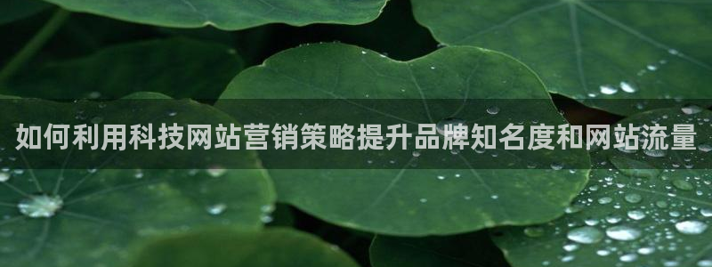 金年会金字照片诚信至上
