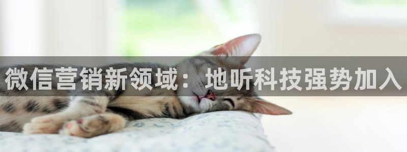 金年会金字招牌诚信