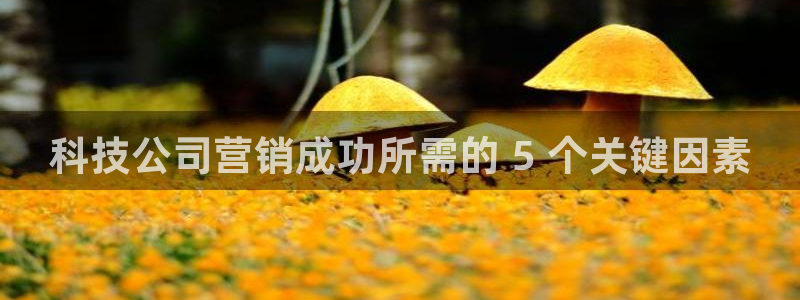 金年会是正规平台吗