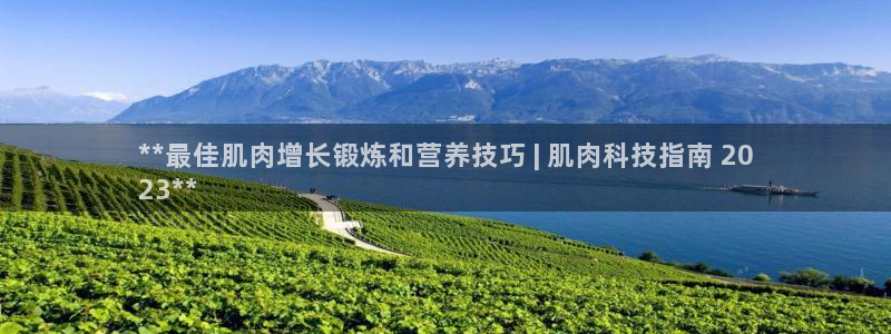 金年会电子官网下载