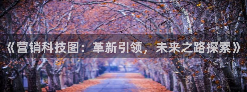 金年会体育隐藏入口