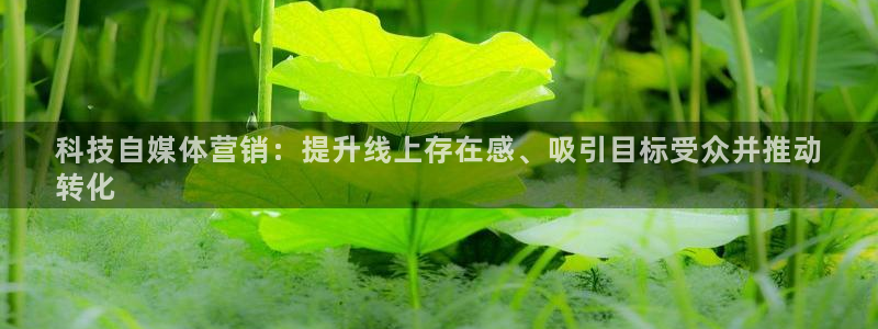 金年会官方进入2023
