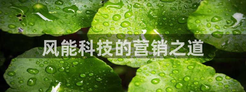 金年会pg电子官网首页