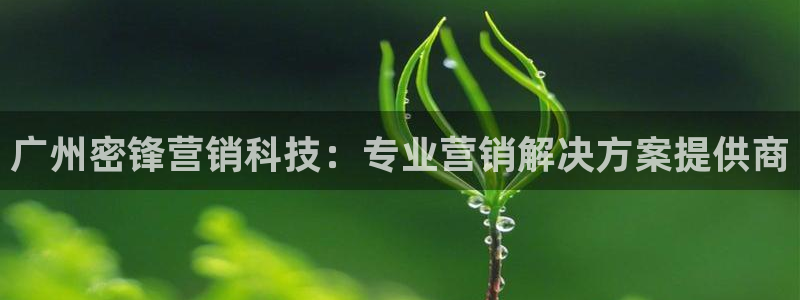 金年会电子游