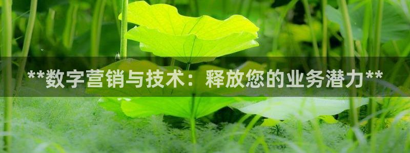 金年会体育平台是真的吗知乎