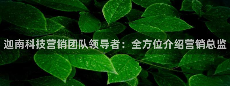 金年会是什么平台