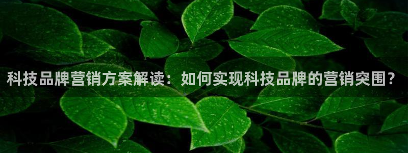 金年会手机版怎么下载