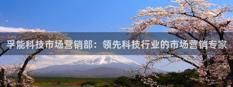 金年会赌博软件
