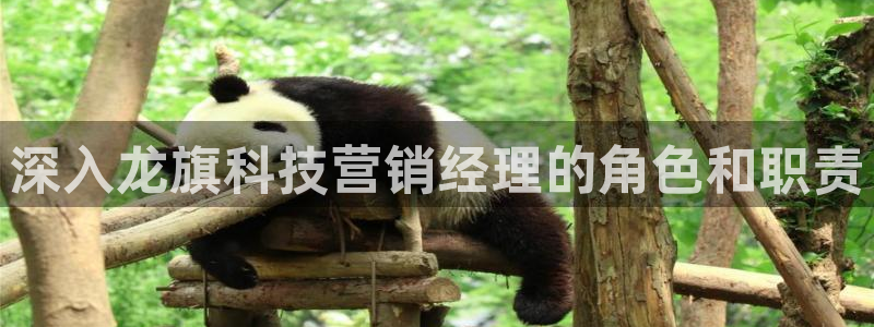 金年会手机网页版官网