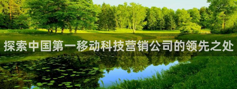 金年会体育app官网下载