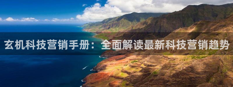 金年会体育app平台怎么样