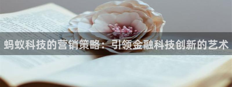 金年会体育app网页版入口