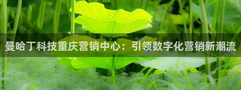 金年会体育平台官网app